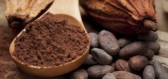 Lancement au Cameroun de la 3ème édition de la prime cacao