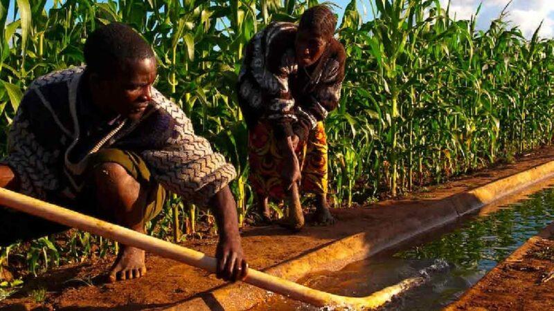 Le FAD fait don de 22 millions de dollars au Malawi pour soutenir la productivité et la résilience climatique de son secteur agricole