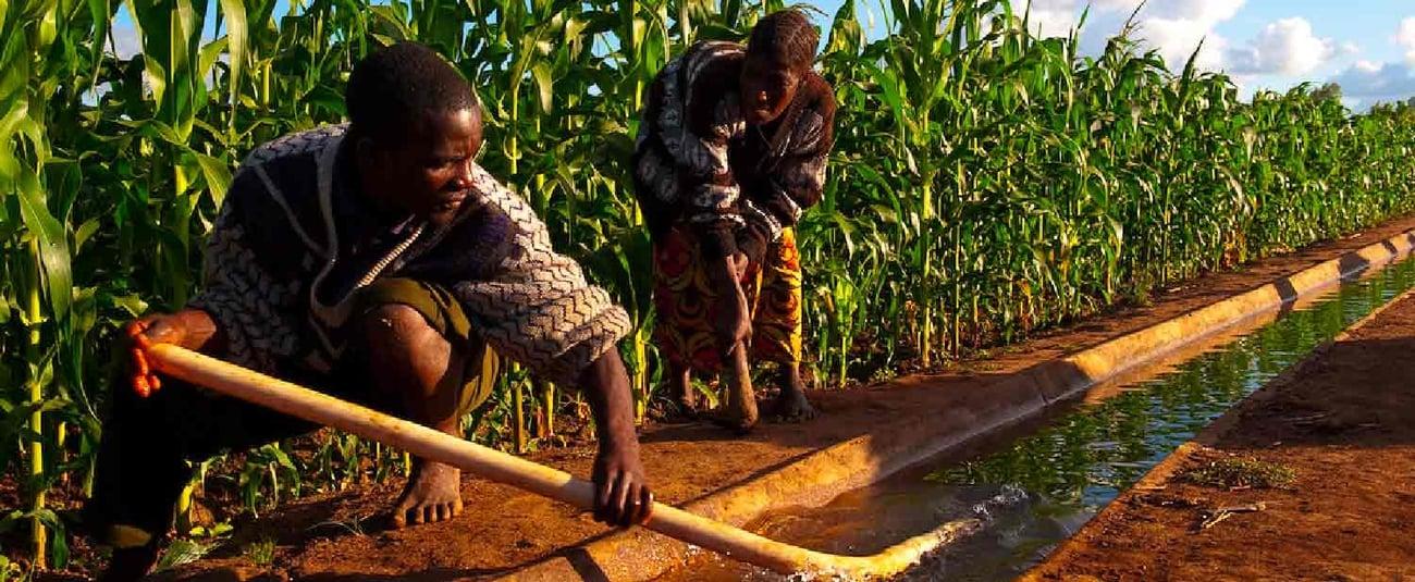 Le FAD fait don de 22 millions de dollars au Malawi pour soutenir la productivité et la résilience climatique de son secteur agricole