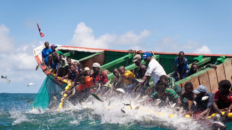 Quelque 132 navires nationaux et 19 navires étrangers autorisés à pêcher dans les eaux maritimes du Sénégal