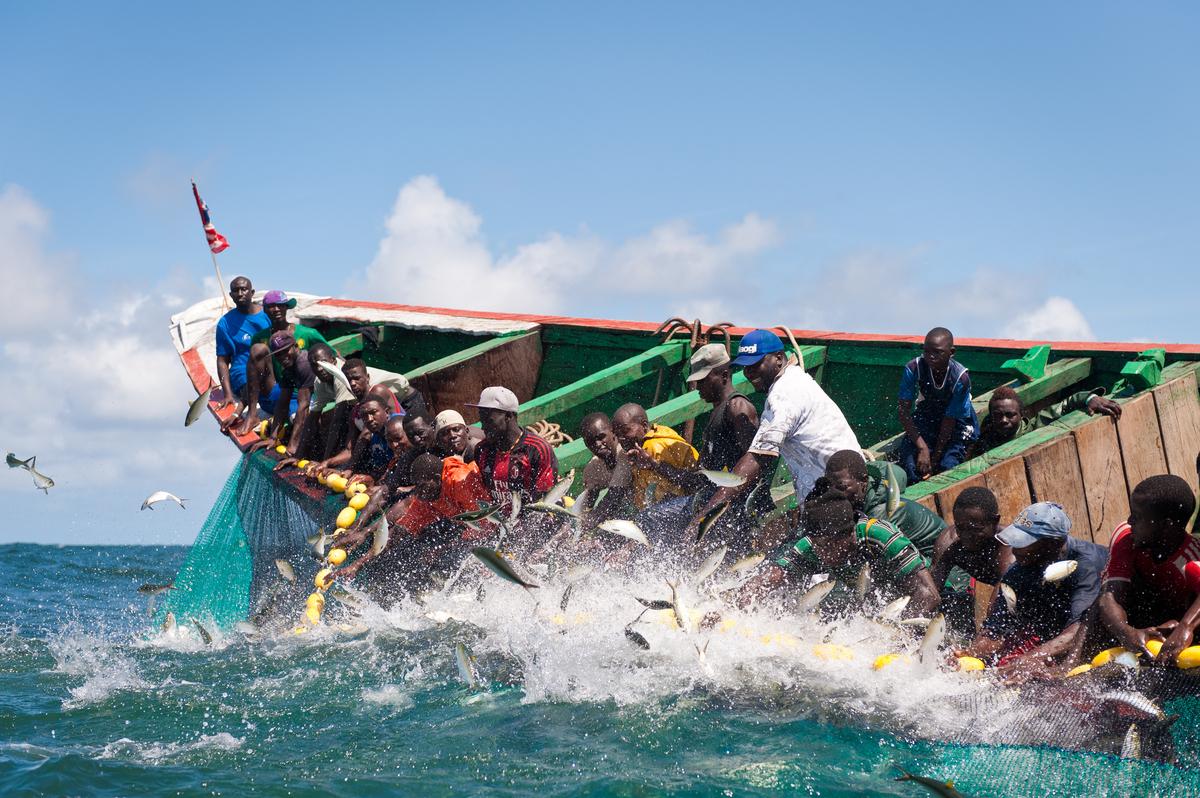 Quelque 132 navires nationaux et 19 navires étrangers autorisés à pêcher dans les eaux maritimes du Sénégal