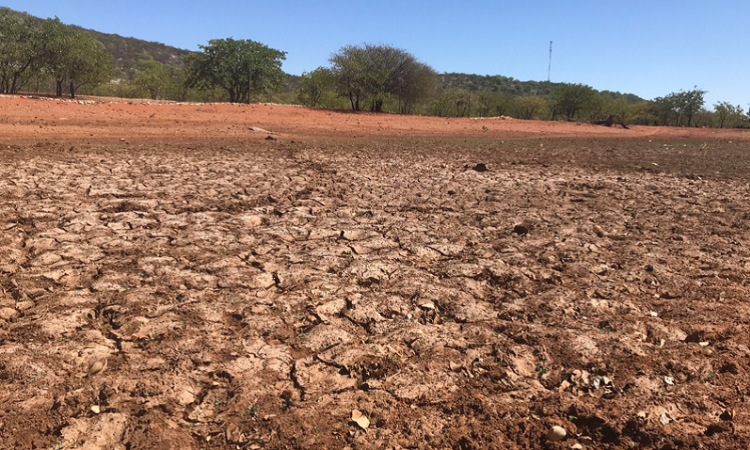 Le gouvernement namibien décrète l’état d’urgence national sur fond de sécheresse dans 14 régions du pays