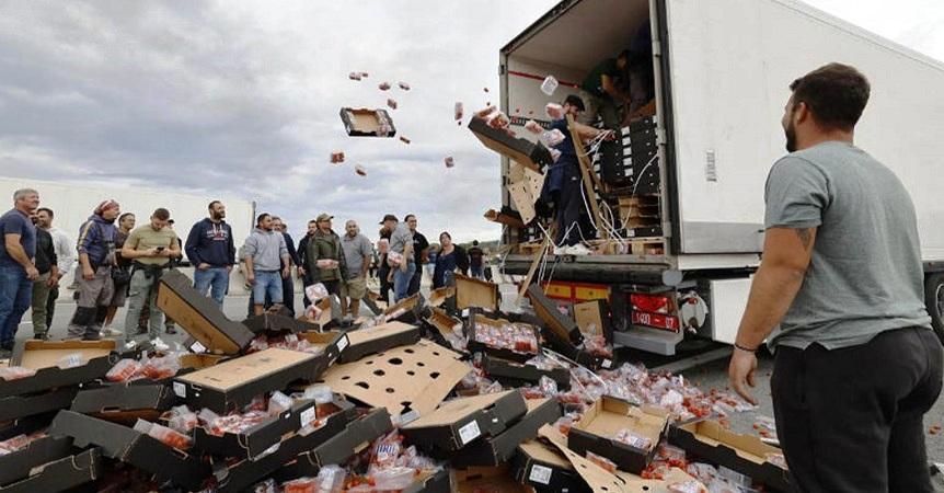 Maroc-France-Commerce : La COMADER dénonce les attaques contre les contingents de tomates marocaines à Perpignon