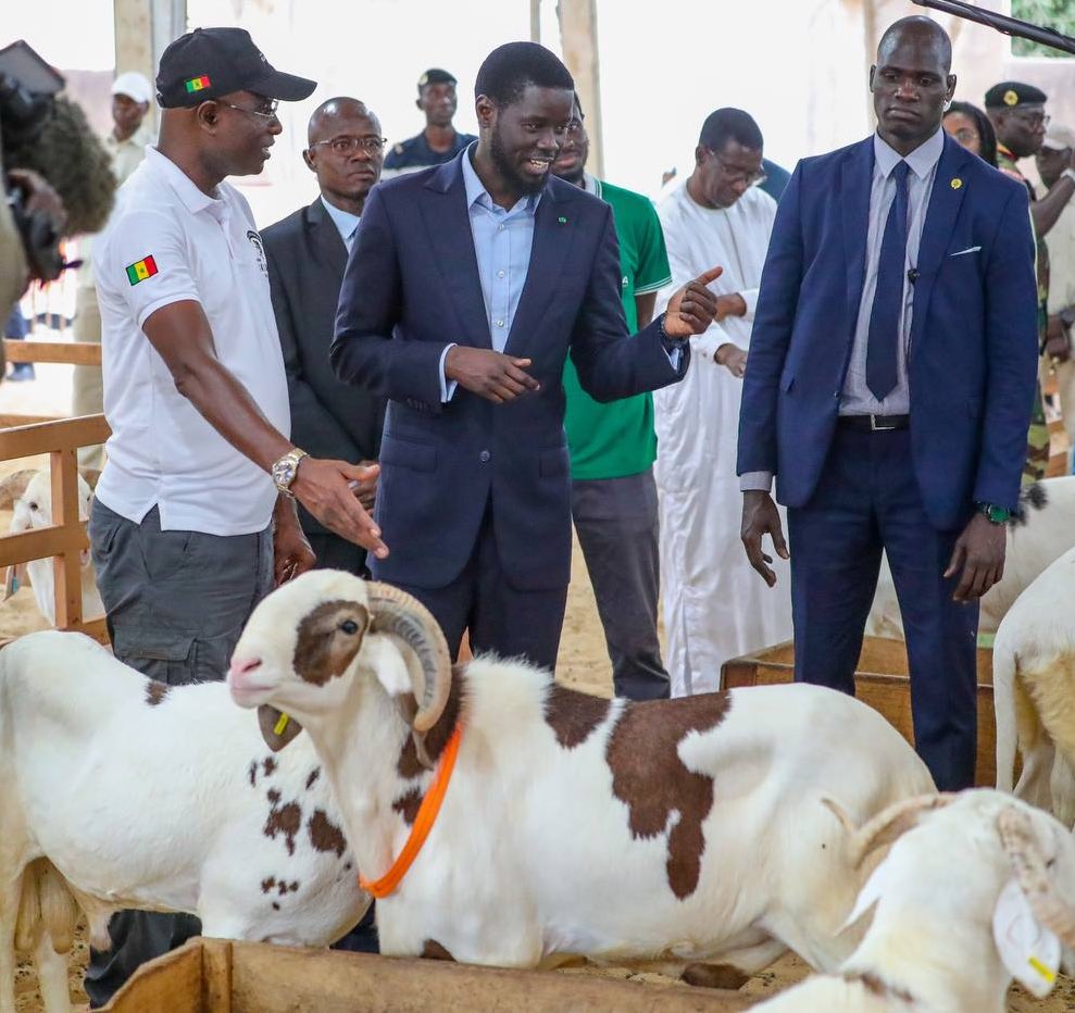 Sénégal/Tabaski : Le président Diomaye Faye préconise la consommation des produits locaux
