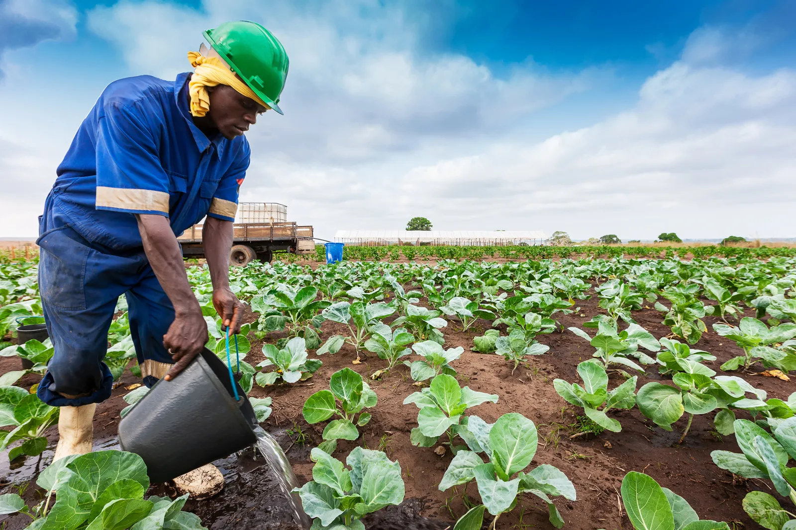 Angola : Chute de l’importation des «14 produits de grande consommation» durant le premier trimestre de 2024