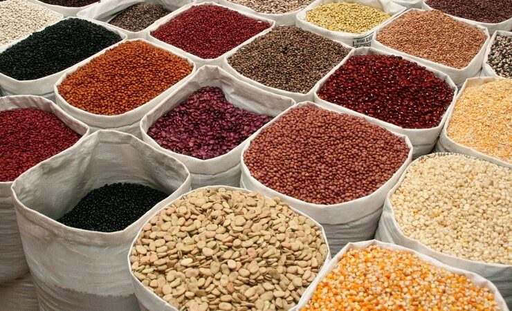 La «sécurité alimentaire en Afrique» au cœur de la 3e Conférence panafricaine sur la gouvernance semencière à Niamey