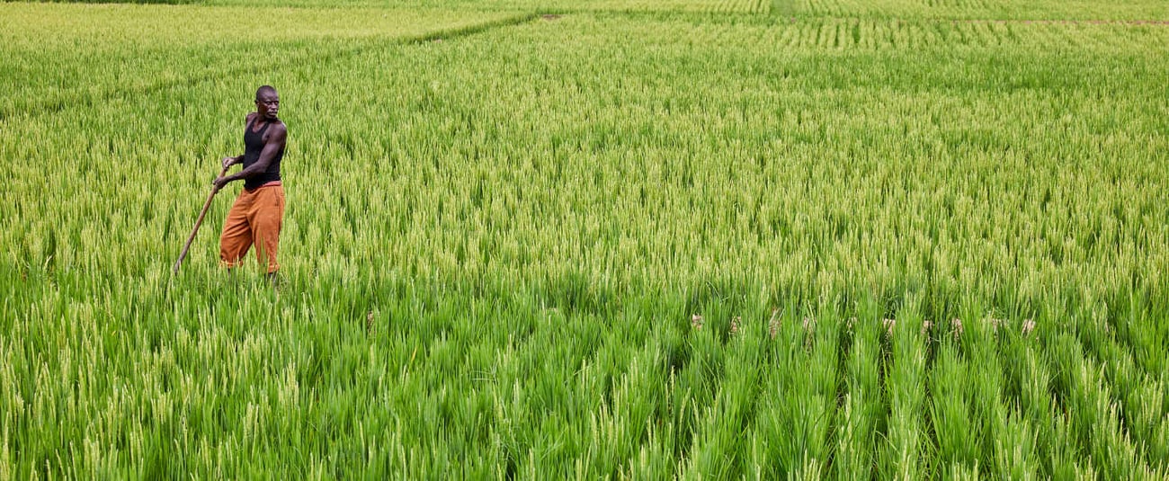 La BAD annonce un financement de 323 millions de dollars pour la mise en œuvre du Projet de développement intégré Burundi-Rwanda