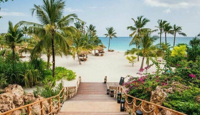 Le secteur du tourisme en Tanzanie a dépassé en 2024, les projections étatiques
