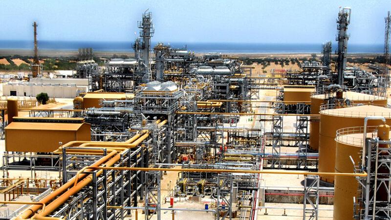 Tunisie: Chute de 13% de la production nationale d’or noir (Observatoire)