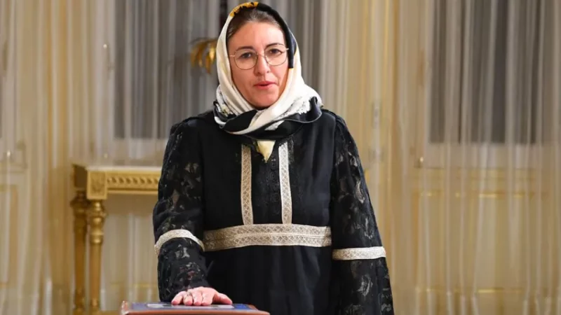 Le président tunisien, Kaïs Saïed limoge pour la énième fois son ministre ministre des Finances