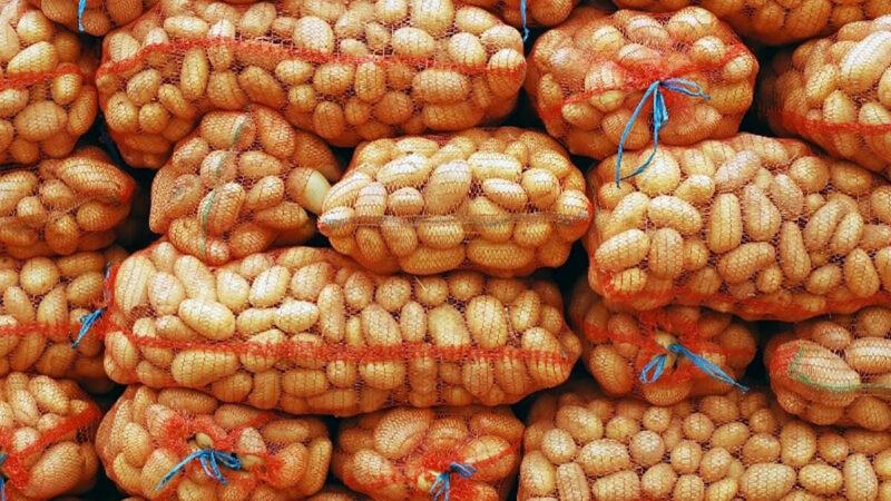 Le Burkina Faso suspend les importations de pommes de terre jusqu’au 30 juin prochain