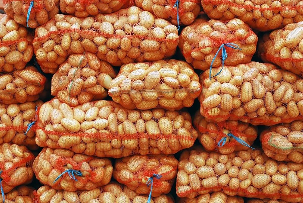 Le Burkina Faso suspend les importations de pommes de terre jusqu’au 30 juin prochain