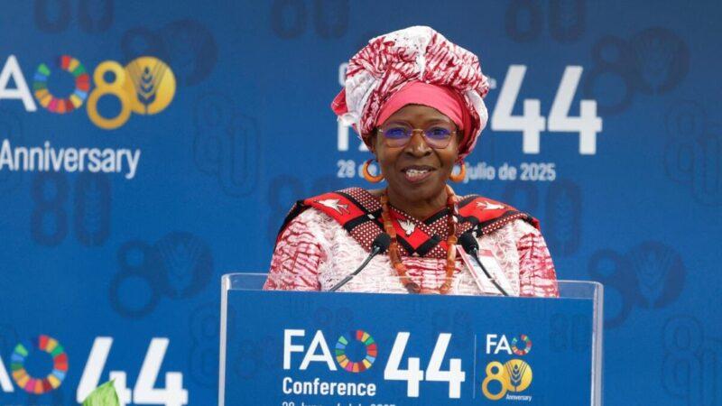 Le Burkina Faso et le Niger, élus au Conseil de la FAO