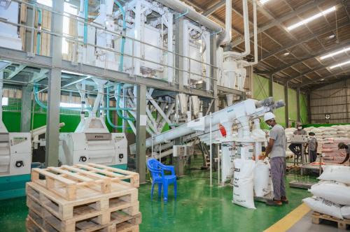 Agriculture : Le Togo ambitionne de construire dix nouvelles unités de transformation, avec le soutien financier de la BAD