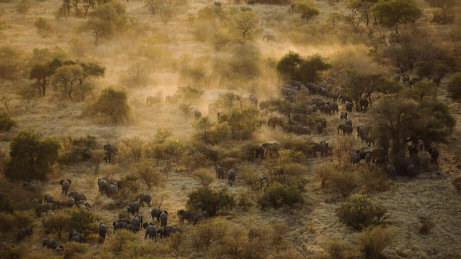 Le Tchad claque la porte de l’ONG sud-africaine APN