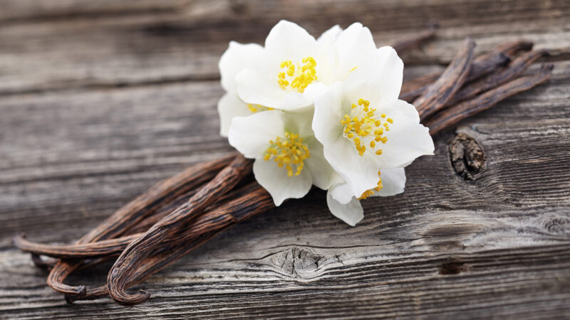 Washington lève les droits de douanes additionnels imposés à certains produits agricoles malgaches