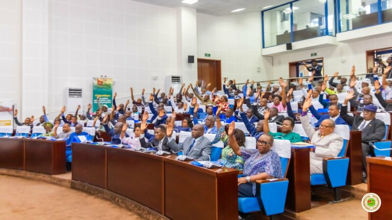 L’Assemblée nationale togolaise approuve un projet de loi de finances rectificative 2025