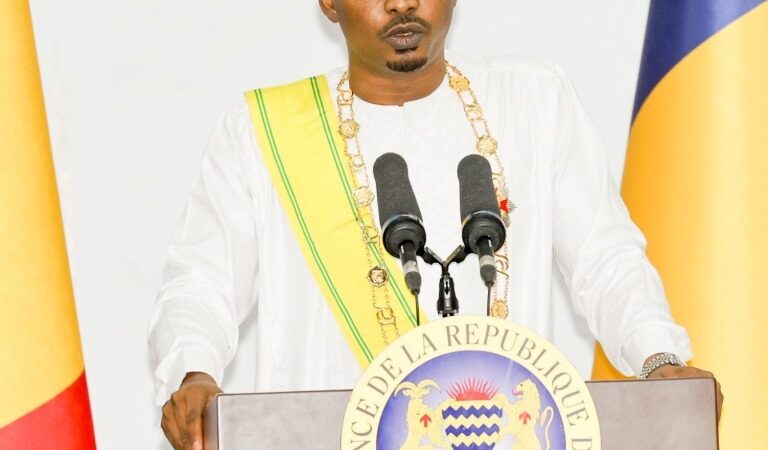 N’Djamena met en garde contre les Fake news sur les institutions