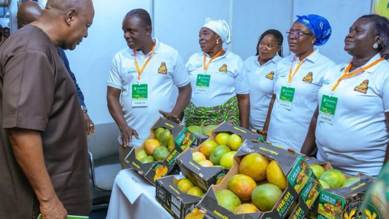 Le Ghana suspend l’exportation de ses matières premières agricoles à l’état brut