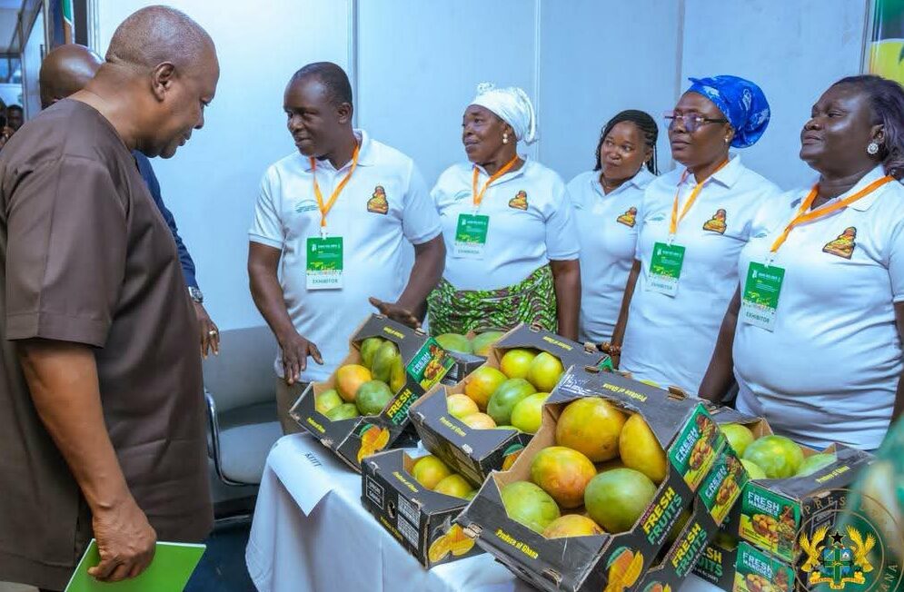 Le Ghana suspend l’exportation de ses matières premières agricoles à l’état brut