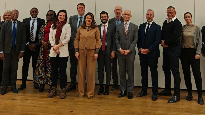 Le Fonds pour l’énergie durable en Afrique enregistre un bilan record en 2025