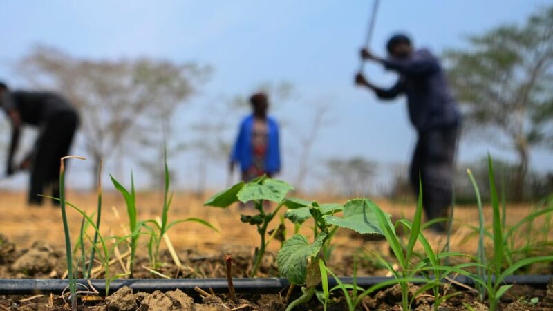 La BAD débloque 48 millions de dollars pour l’Est de la RDC confrontée à une crise militaro-politique