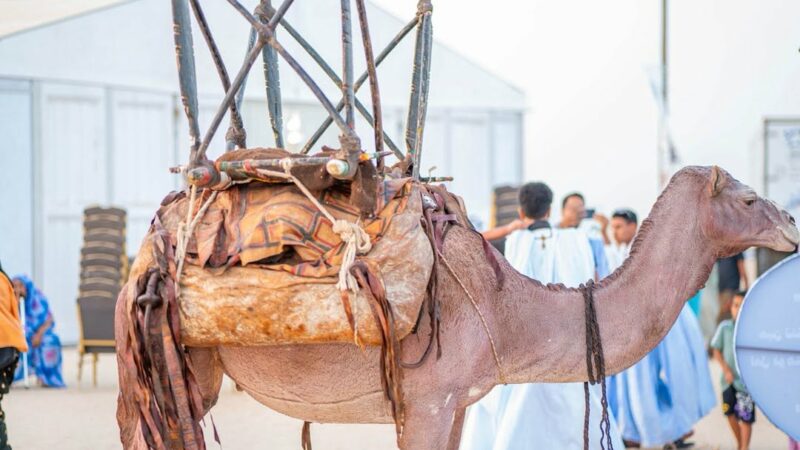 Le président mauritanien réitère son appel en faveur du tourisme intérieur