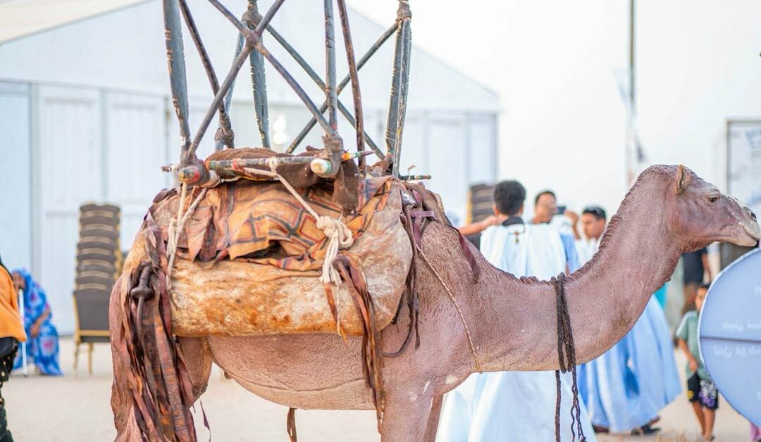 Le président mauritanien réitère son appel en faveur du tourisme intérieur