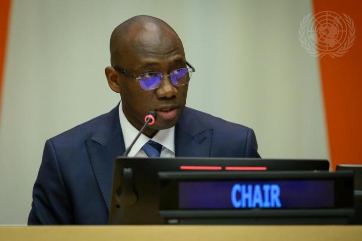 Le Sénégal prend la tête de la Quatrième Commission de l’Assemblée générale des Nations Unies