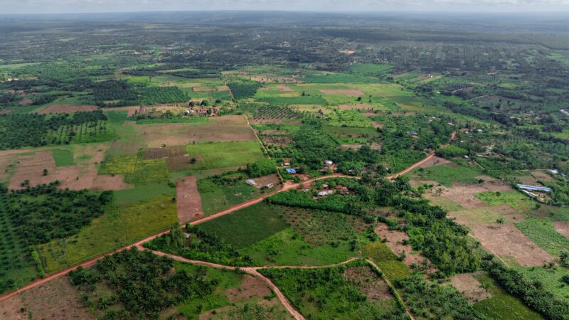 La BOAD booste la croissance économique rurale au Bénin avec le projet PACER