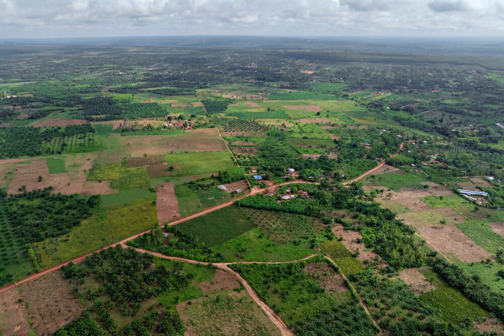 La BOAD booste la croissance économique rurale au Bénin avec le projet PACER