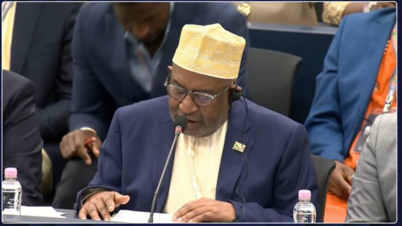 L&rsquo;UNESCO rajoute six médinas des sultanats comoriens sur sa liste du patrimoine mondial