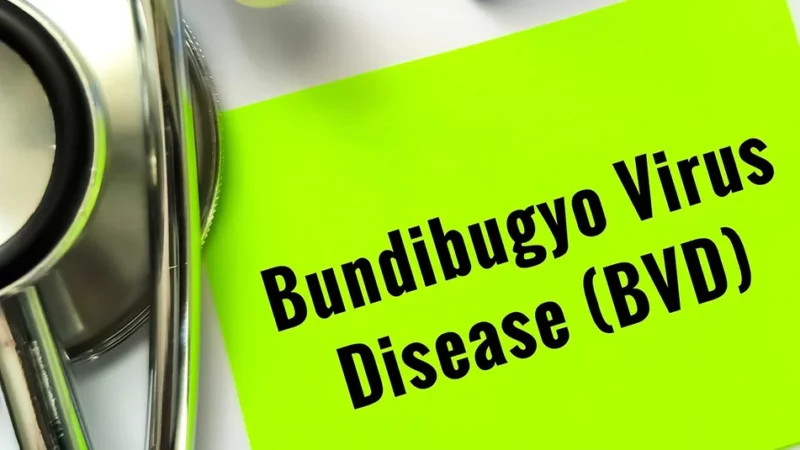 La BAD débloque 13 millions de dollars pour financer la lutte contre Ebola dans trois pays d’Afrique centrale et de l’Est