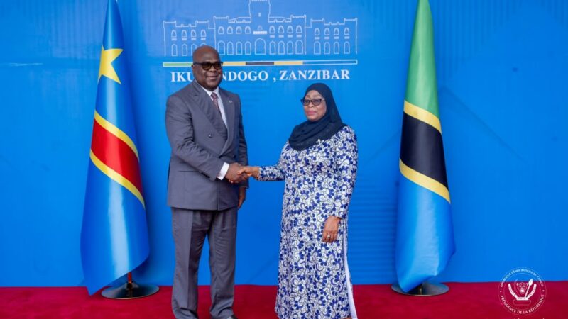 La RDC et la Tanzanie renforcent leur coopération économique et sécuritaire