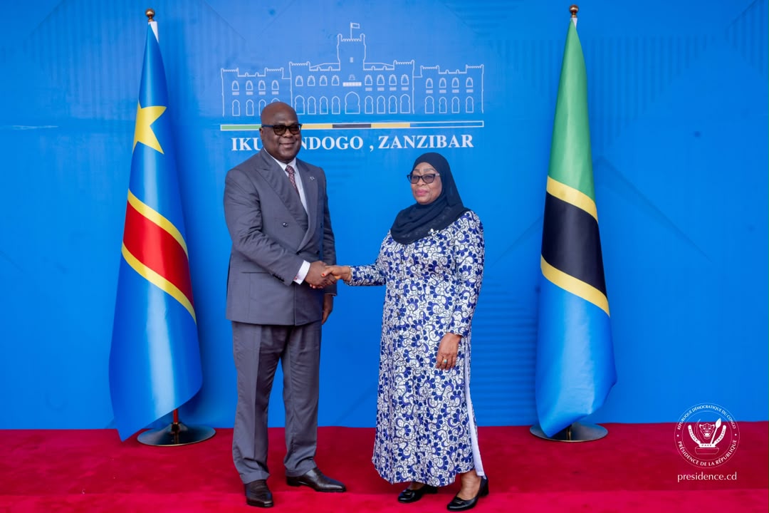 La RDC et la Tanzanie renforcent leur coopération économique et sécuritaire