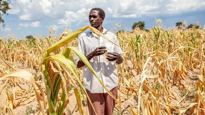 Le PAM prévient que 49 millions de personnes menacées de faim d’ici fin 2027  à cause du phénomène El Niño