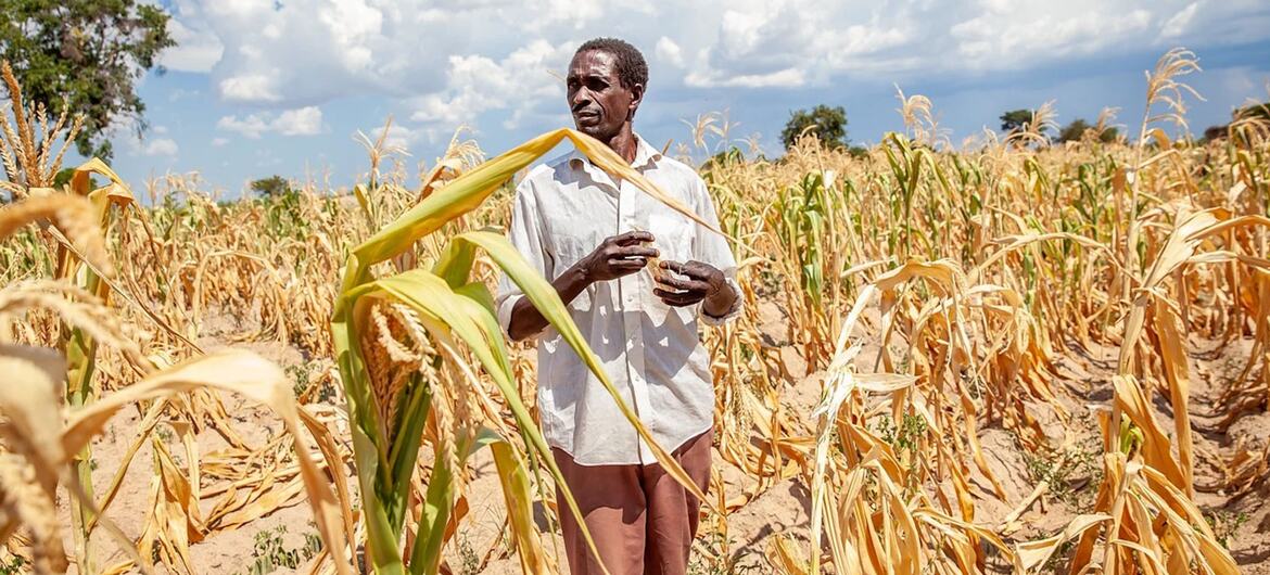 Le PAM prévient que 49 millions de personnes menacées de faim d’ici fin 2027  à cause du phénomène El Niño
