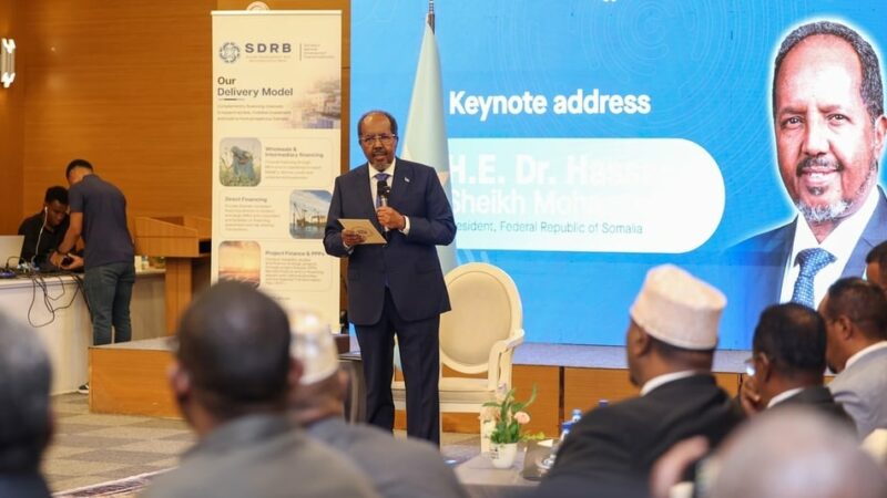 La BAD s’engage à propulser la Somalie vers le développement durable