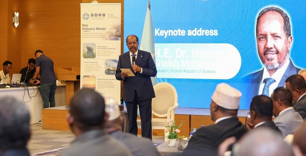La BAD s’engage à propulser la Somalie vers le développement durable